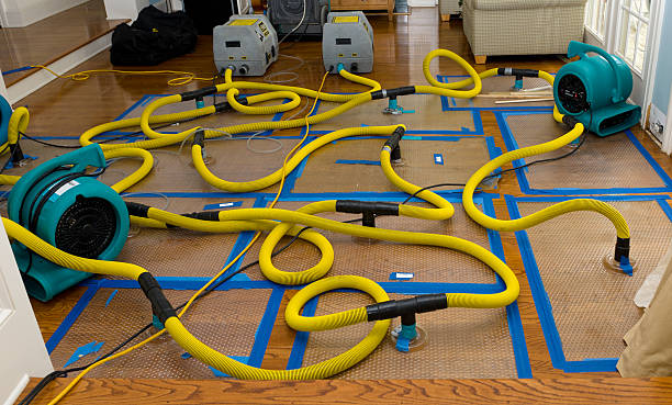 Professional Structural Drying And Dehumidification technician working in New Lisbon, WI